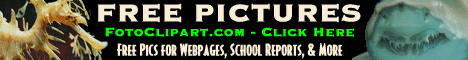 freepicturesite