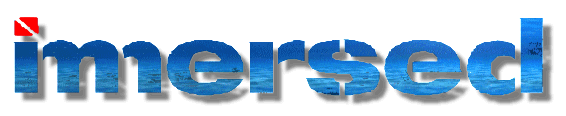 immersed_logo.gif
