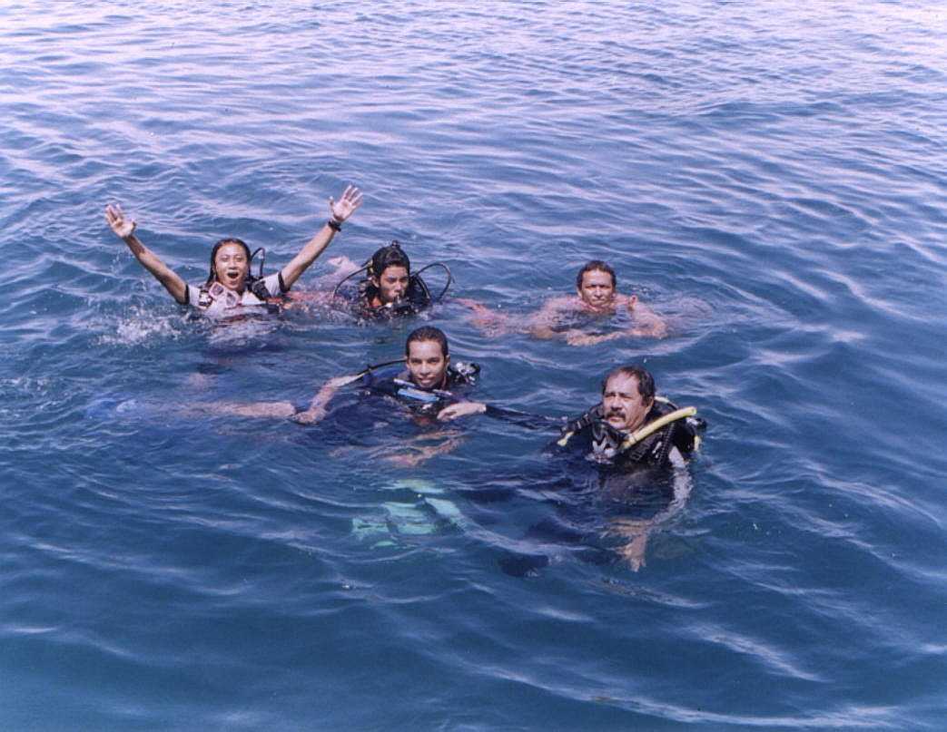divebell.com